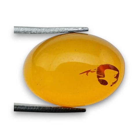 Baltic amber cabochon 18x13 mm no 804 Baltic amber cabochon 18x13 mm no 804
