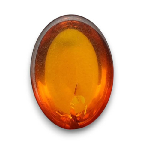 Baltic amber cabochon 18x13 mm no 804 Baltic amber cabochon 18x13 mm no 804