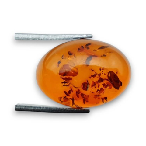Baltic amber cabochon 18x13 mm no 806 Baltic amber cabochon 18x13 mm no 806
