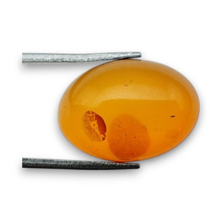 Baltic amber cabochon 18x13 mm no 807