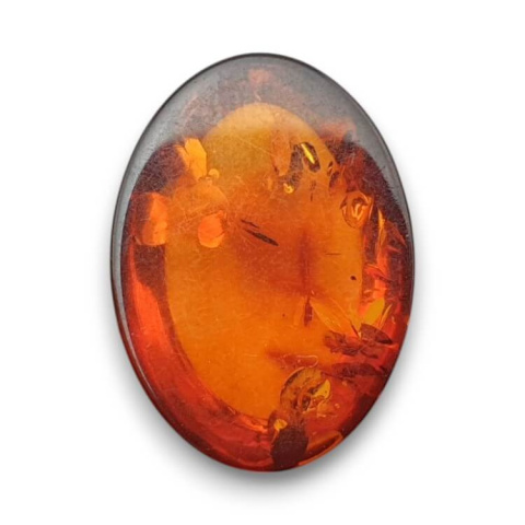 Baltic amber cabochon 18x13 mm no 808 Baltic amber cabochon 18x13 mm no 808