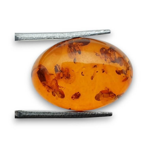 Baltic amber cabochon 18x13 mm no 809 Baltic amber cabochon 18x13 mm no 809
