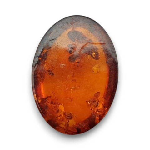 Baltic amber cabochon 18x13 mm no 809 Baltic amber cabochon 18x13 mm no 809