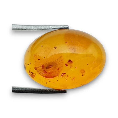 Baltic amber cabochon 18x13 mm no. 813 Baltic amber cabochon 18x13 mm no. 813