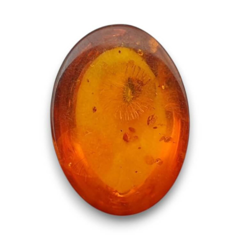 Baltic amber cabochon 18x13 mm no. 813 Baltic amber cabochon 18x13 mm no. 813
