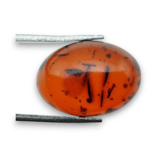 Baltic amber cabochon 18x13 mm no 814