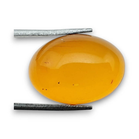 Bursztyn bałtycki kaboszon 18x13 mm nr 815 Bursztyn bałtycki kaboszon 18x13 mm nr 815