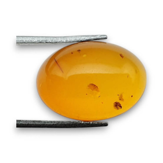Baltic amber cabochon 18x13 mm no 817