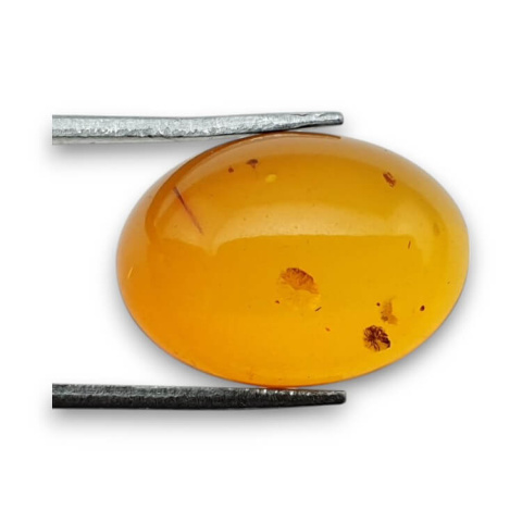 Baltic amber cabochon 18x13 mm no 817 Baltic amber cabochon 18x13 mm no 817