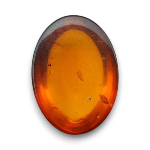Baltic amber cabochon 18x13 mm no 817 Baltic amber cabochon 18x13 mm no 817