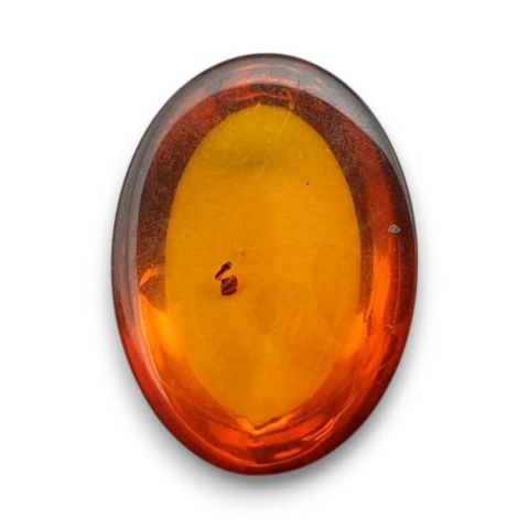 Baltic amber cabochon 18x13 mm no 819 Baltic amber cabochon 18x13 mm no 819