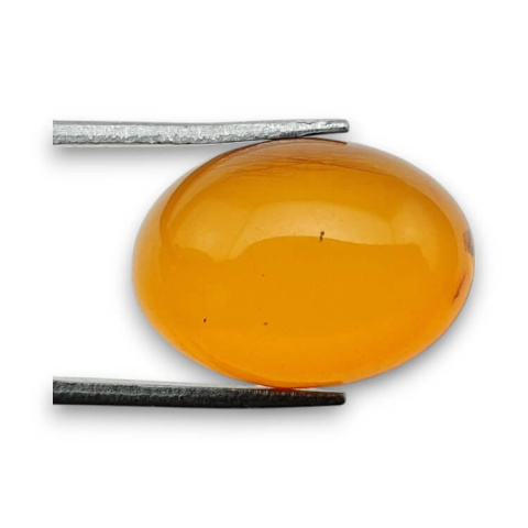 Baltic amber cabochon 18x13 mm no. 820 Baltic amber cabochon 18x13 mm no. 820