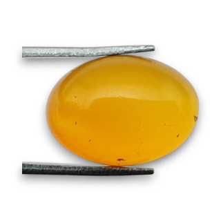 Baltic amber cabochon 18x13 mm no 821