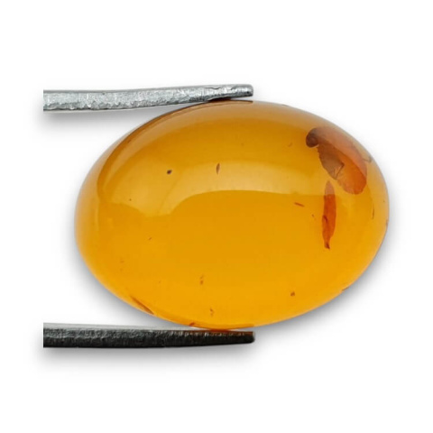 Bursztyn bałtycki kaboszon 18x13 mm nr 822 Bursztyn bałtycki kaboszon 18x13 mm nr 822