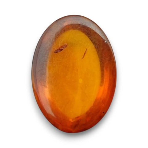 Baltic amber cabochon 18x13 mm no 824 Baltic amber cabochon 18x13 mm no 824