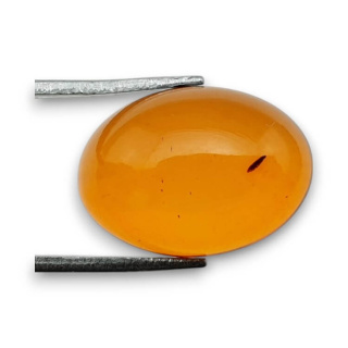 Baltic amber cabochon 18x13 mm no 825