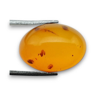 Baltic amber cabochon 18x13 mm no 829