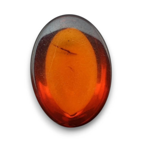 Baltic amber cabochon 18x13 mm no 830 Baltic amber cabochon 18x13 mm no 830