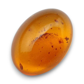 Baltic amber cabochon 18x13 mm no 831