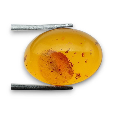 Baltic amber cabochon 18x13 mm no 831 Baltic amber cabochon 18x13 mm no 831