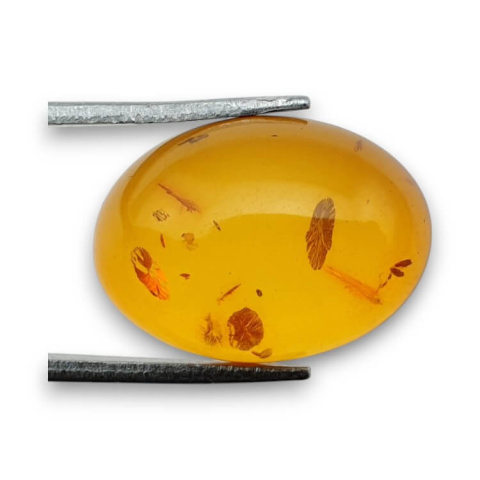 Baltic amber cabochon 18x13 mm no 832 Baltic amber cabochon 18x13 mm no 832