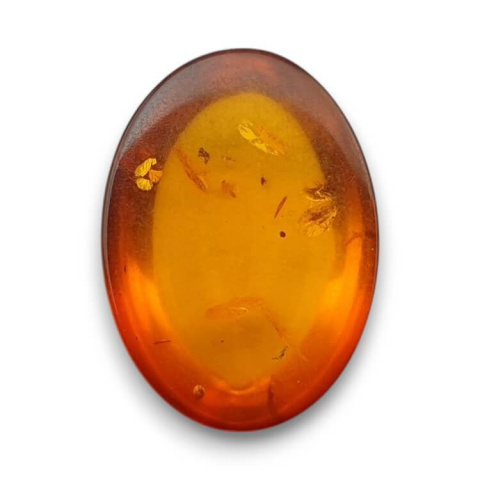 Baltic amber cabochon 18x13 mm no 832 Baltic amber cabochon 18x13 mm no 832