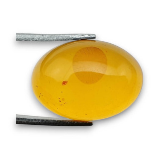 Baltic amber cabochon 18x13 mm no 833