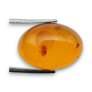 Baltic amber cabochon 18x13 mm no 834