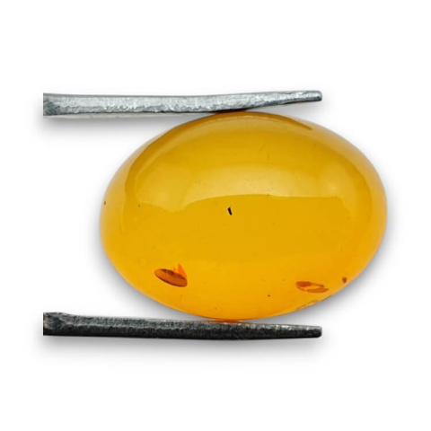 Baltic amber cabochon 18x13 mm no 836 Baltic amber cabochon 18x13 mm no 836