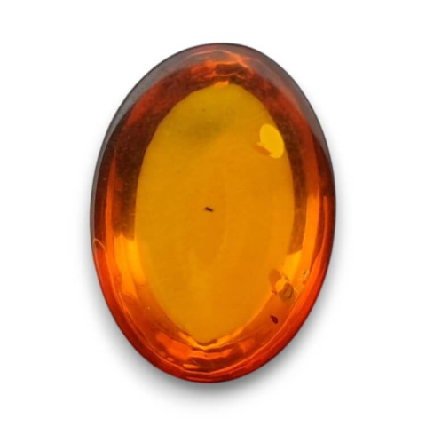 Baltic amber cabochon 18x13 mm no 836 Baltic amber cabochon 18x13 mm no 836