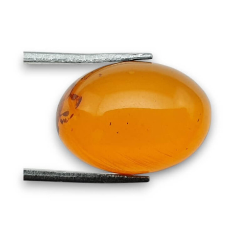 Baltic amber cabochon 18x13 mm no. 838 Baltic amber cabochon 18x13 mm no. 838