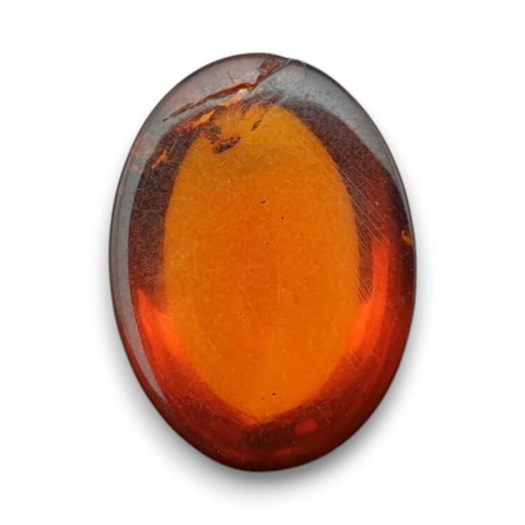 Baltic amber cabochon 18x13 mm no. 838 Baltic amber cabochon 18x13 mm no. 838