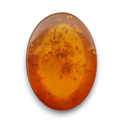 Baltic amber cabochon 18x13 mm no 840 Baltic amber cabochon 18x13 mm no 840