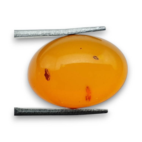 Baltic amber cabochon 18x13 mm no 841 Baltic amber cabochon 18x13 mm no 841