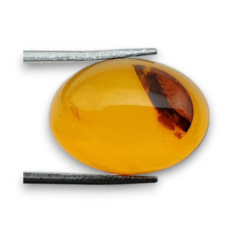 Baltic amber cabochon 18x13 mm no 844 Baltic amber cabochon 18x13 mm no 844