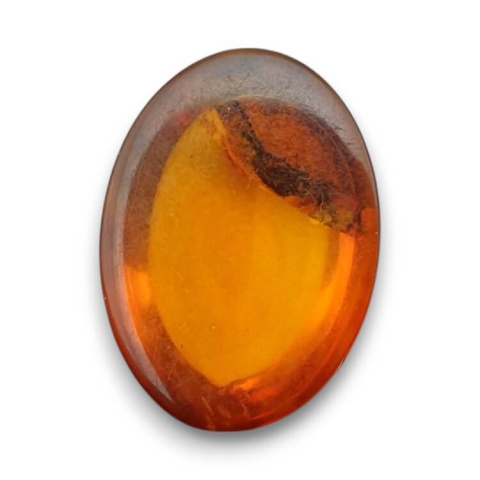 Baltic amber cabochon 18x13 mm no 844 Baltic amber cabochon 18x13 mm no 844