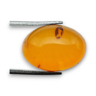 Baltic amber cabochon 18x13 mm no 847