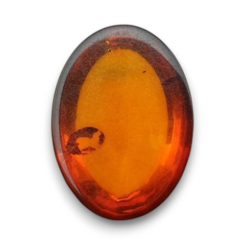 Baltic amber cabochon 18x13 mm no 847 Baltic amber cabochon 18x13 mm no 847