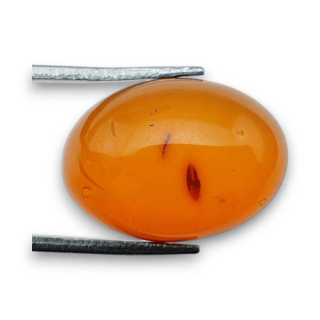 Baltic amber cabochon 18x13 mm no 848