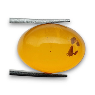 Baltic amber cabochon 18x13 mm no 850