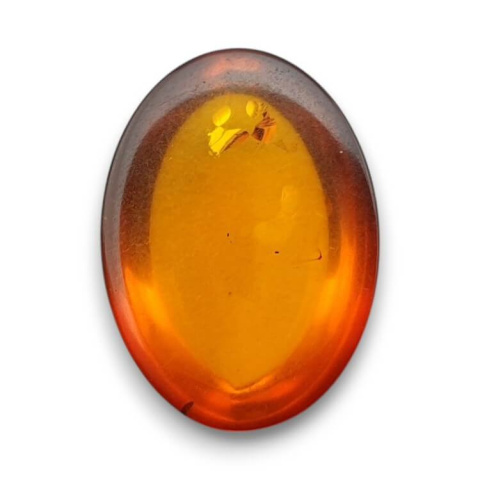 Baltic amber cabochon 18x13 mm no 850 Baltic amber cabochon 18x13 mm no 850