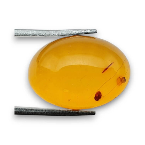 Baltic amber cabochon 18x13 mm no 851 Baltic amber cabochon 18x13 mm no 851