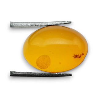 Baltic amber cabochon 18x13 mm no 854