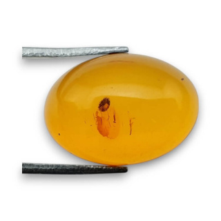 Baltic amber cabochon 18x13 mm no 855