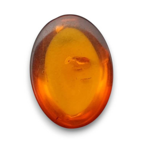Baltic amber cabochon 18x13 mm no 855