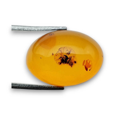 Baltic amber cabochon 18x13 mm no 856 Baltic amber cabochon 18x13 mm no 856