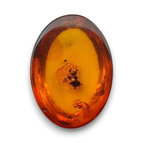 Baltic amber cabochon 18x13 mm no 856 Baltic amber cabochon 18x13 mm no 856