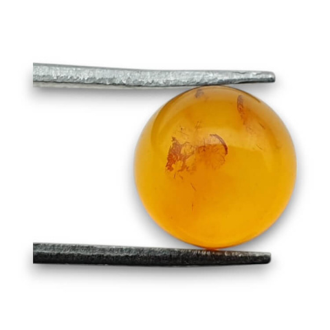 Baltic amber cabochon fi 10 mm no 748 Baltic amber cabochon fi 10 mm no 748
