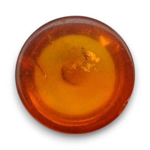 Baltic amber cabochon fi 10 mm no 748 Baltic amber cabochon fi 10 mm no 748