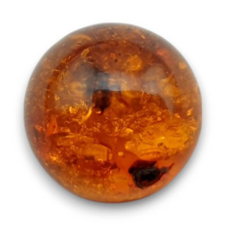 Baltic amber cabochon fi 10 mm no 752